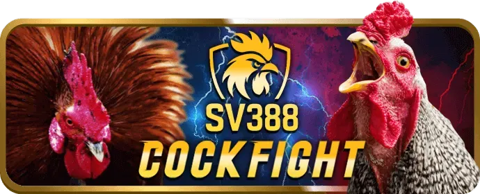Đá gà cựa dao hello88vina